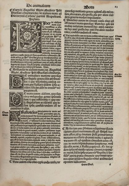 Nifo, Agostino, : Parva Naturalia - Commentationes in librum De substantia orbis - Quaestio de forma corporeitatis  - Asta Libri, Autografi e Stampe - Associazione Nazionale - Case d'Asta italiane