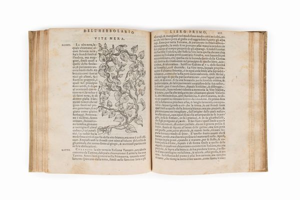Sansovino, Francesco : Della materia medicinale libri quattro  - Asta Libri, Autografi e Stampe - Associazione Nazionale - Case d'Asta italiane