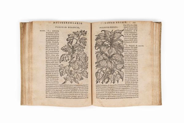 Sansovino, Francesco : Della materia medicinale libri quattro  - Asta Libri, Autografi e Stampe - Associazione Nazionale - Case d'Asta italiane