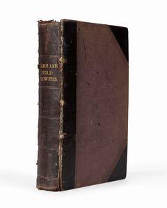 Edward Hulme : Familiar wild flowers  - Asta Libri, Autografi e Stampe - Associazione Nazionale - Case d'Asta italiane