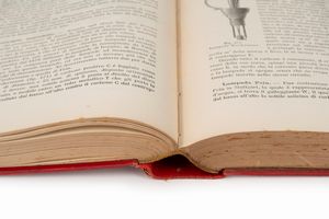 Stefano Pagliani - L'elettricità sua produzione e sue applicazioni nelle scienze nelle arti e nell'industria.