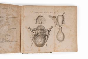 William Dewees - A treatise on the diseases of females.