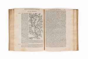 Sansovino, Francesco - Della materia medicinale libri quattro