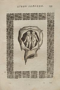 Scipione Mercurio - La Commare o Raccoglitrice