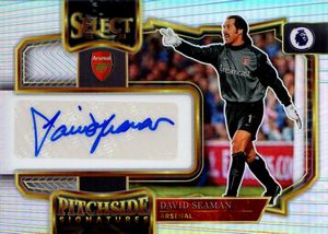 David  Seaman - Arsenal - Panini Select Pitchside