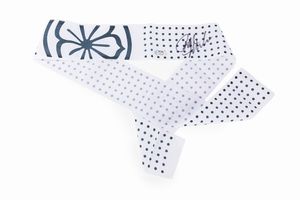 Ralph  Macchio - Karate Kid