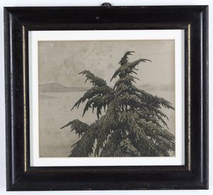 Cima di albero, tude de cdre Jos Mingret, acquerello su carta  - Asta Antiquariato e dipinti - Associazione Nazionale - Case d'Asta italiane