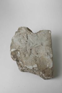 Antica testa femminile in pietra serena  - Asta Antiquariato e dipinti - Associazione Nazionale - Case d'Asta italiane