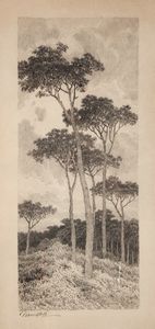 GIOVANNI PIANCASTELLI - Pineta