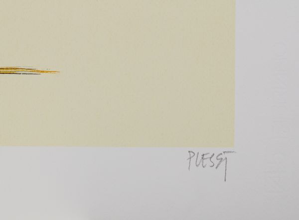 PLESSI FABRIZIO (n. 1940) : Waterfire.  - Asta Asta 424 | GRAFICA MODERNA, FOTOGRAFIA E MULTIPLI D'AUTORE Online - Associazione Nazionale - Case d'Asta italiane