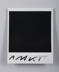 ARAKI NOBUYOSHI (n. 1940) : Senza titolo.  - Asta Asta 424 | GRAFICA MODERNA, FOTOGRAFIA E MULTIPLI D'AUTORE Online - Associazione Nazionale - Case d'Asta italiane