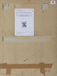 CAPOGROSSI GIUSEPPE (1900 - 1972) : Opale n 10.  - Asta Asta 424 | GRAFICA MODERNA, FOTOGRAFIA E MULTIPLI D'AUTORE Online - Associazione Nazionale - Case d'Asta italiane