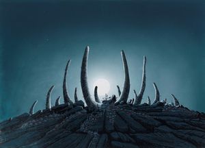 Michelangelo Miani - Totem urbani