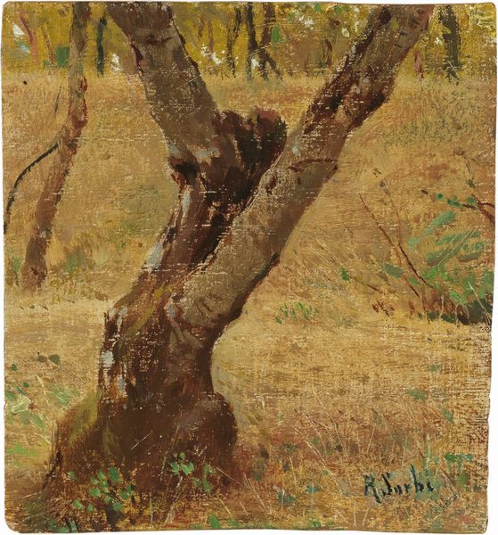Raffaello Sorbi : Olivo  - Asta Importanti Arredi, Sculture e Dipinti Antichi - Associazione Nazionale - Case d'Asta italiane
