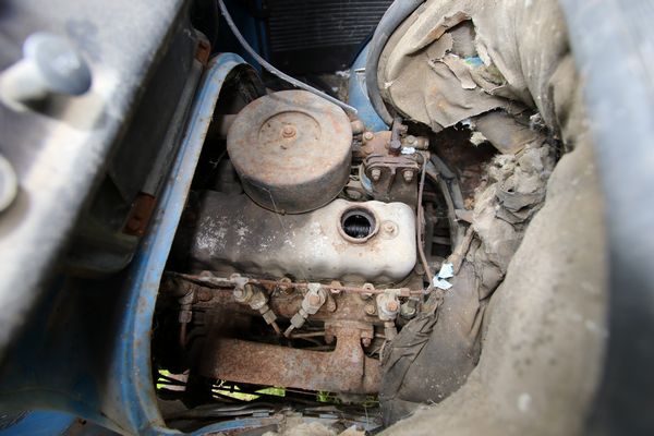 Alfa Romeo : F12 - Furgone (Alfa Romeo)  - Asta Automobili da Collezione - Associazione Nazionale - Case d'Asta italiane