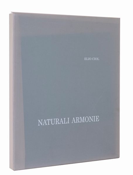 Elio Ciol : Naturali armonie  - Asta Asta di arte moderna e contemporanea - Associazione Nazionale - Case d'Asta italiane