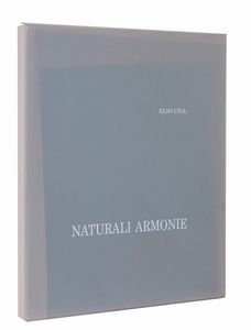 Elio Ciol : Naturali armonie  - Asta Asta di arte moderna e contemporanea - Associazione Nazionale - Case d'Asta italiane