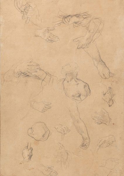 Scuola napoletana del XVIII secolo Studi anatomici  - Asta Dipinti Antichi - Associazione Nazionale - Case d'Asta italiane