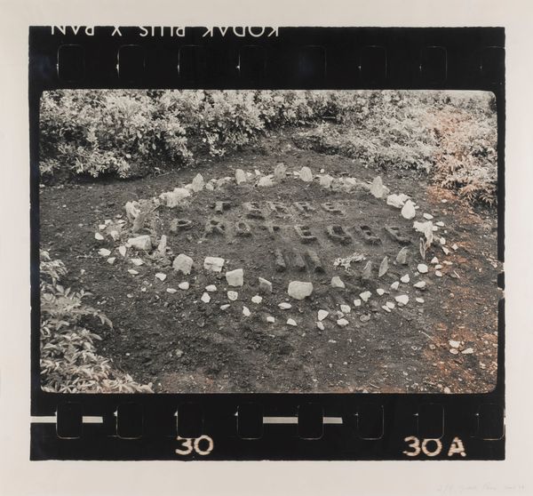 Gina Pane : Terre prot�g�e III  - Asta Arte Moderna e Contemporanea - Associazione Nazionale - Case d'Asta italiane