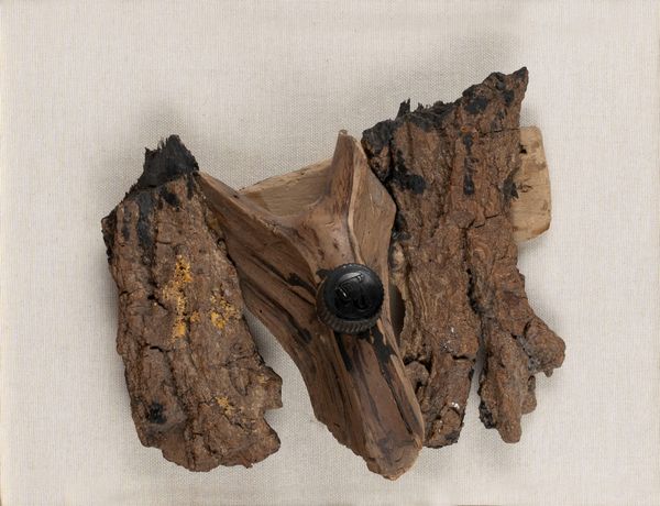 CLAUDIO CINTOLI : Senza titolo  - Asta Arte Moderna e Contemporanea - Associazione Nazionale - Case d'Asta italiane