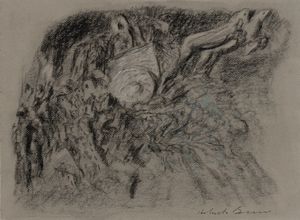 Roberto Barni - Carro