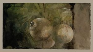 Pedro Cano - Melograni