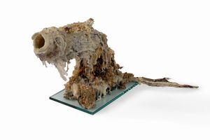 Gabriele Silli - Senza titolo