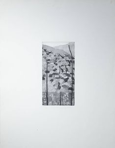 FEDERICA GALLI Soresino 1932 - 2009 Milano - Paesaggio collinare