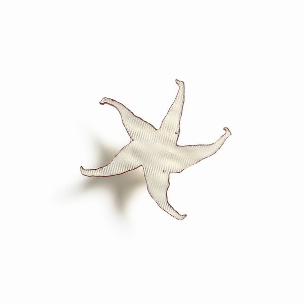 SARTORI AMLETO (1915 - 1962) : Lotto composto da sette elementi di fauna marina con funzione di schermo ad altrettanti punti luce  - Asta Asta 427 | DESIGN E ARTI DECORATIVE DEL NOVECENTO Tradizionale - Associazione Nazionale - Case d'Asta italiane