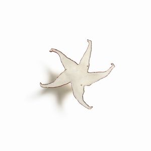 SARTORI AMLETO (1915 - 1962) : Lotto composto da sette elementi di fauna marina con funzione di schermo ad altrettanti punti luce  - Asta Asta 427 | DESIGN E ARTI DECORATIVE DEL NOVECENTO Tradizionale - Associazione Nazionale - Case d'Asta italiane