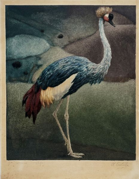 Romeo Costetti : Gru pavonina.  - Asta Arte Antica, Moderna e Contemporanea [Parte II] - Associazione Nazionale - Case d'Asta italiane