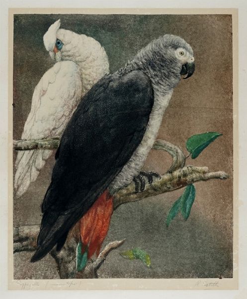 Romeo Costetti : Pappagalli.  - Asta Arte Antica, Moderna e Contemporanea [Parte II] - Associazione Nazionale - Case d'Asta italiane