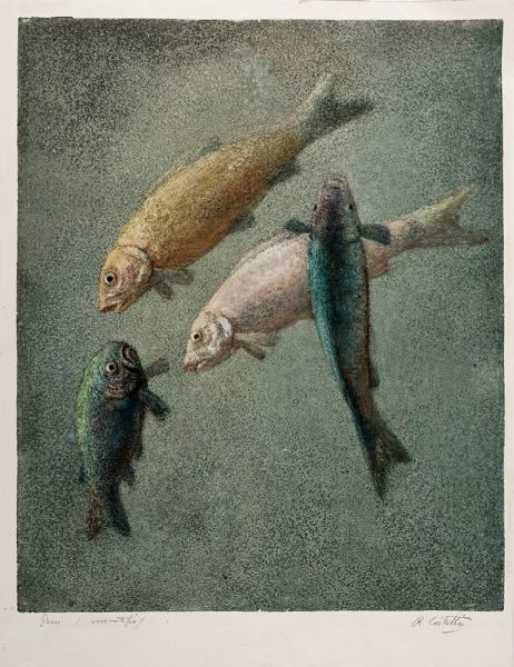 Romeo Costetti : Pesci.  - Asta Arte Antica, Moderna e Contemporanea [Parte II] - Associazione Nazionale - Case d'Asta italiane