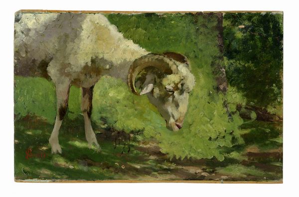 STEFANO BRUZZI : Montone.  - Asta Arte Antica, Moderna e Contemporanea [Parte II] - Associazione Nazionale - Case d'Asta italiane