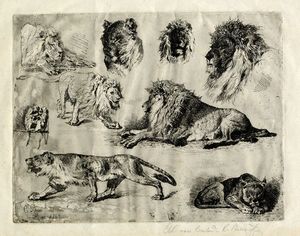 Cesare Biseo - Studio di leoni.