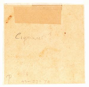 Scuola romana, XVII secolo : Testa di fanciullo  - Asta Dipinti, disegni e sculture dal XIV al XIX secolo - Associazione Nazionale - Case d'Asta italiane