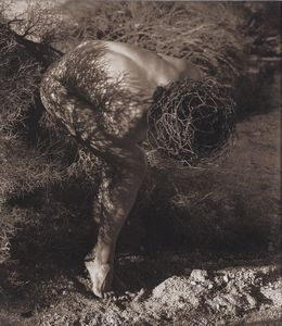 Herb Ritts - Male nude with thorns Joshua tree