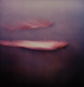 Michal Rovner - One-Person Game Against Nature I