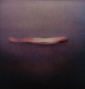 Michal Rovner - One-Person Game Against Nature I