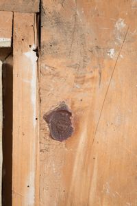 Scuola napoletana, XVII secolo : Un pellegrino  - Asta Antiquariato, Dipinti antichi e del XIX secolo - Associazione Nazionale - Case d'Asta italiane