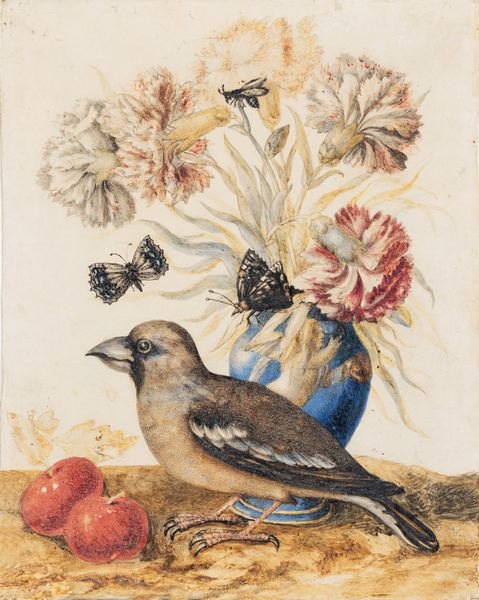 Suor Teresa Berenice Vitelli (attiva a Firenze nel 1706-1729) Natura morta con frosone, vaso di fiori e ciliegie  - Asta Old Masters - Associazione Nazionale - Case d'Asta italiane