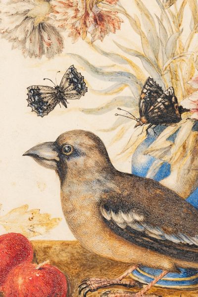 Suor Teresa Berenice Vitelli (attiva a Firenze nel 1706-1729) Natura morta con frosone, vaso di fiori e ciliegie  - Asta Old Masters - Associazione Nazionale - Case d'Asta italiane