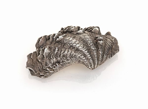 Federico Buccellati - Ostrica naturale rivestita in argento 999  - Asta Argenti Antichi e da Collezione - Associazione Nazionale - Case d'Asta italiane