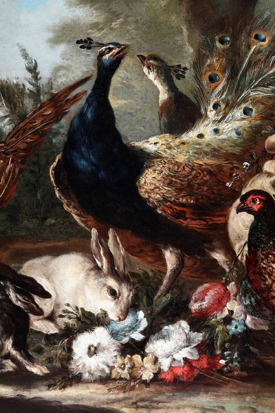 Giovanni Crivelli detto il Crivellino : Veduta di giardino con pavoni, fagiano e coniglietti  - Asta Dipinti Antichi - Associazione Nazionale - Case d'Asta italiane