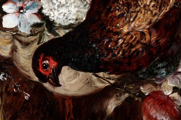 Giovanni Crivelli detto il Crivellino : Veduta di giardino con pavoni, fagiano e coniglietti  - Asta Dipinti Antichi - Associazione Nazionale - Case d'Asta italiane