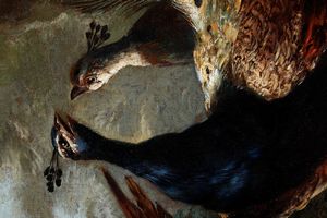 Giovanni Crivelli detto il Crivellino : Veduta di giardino con pavoni, fagiano e coniglietti  - Asta Dipinti Antichi - Associazione Nazionale - Case d'Asta italiane