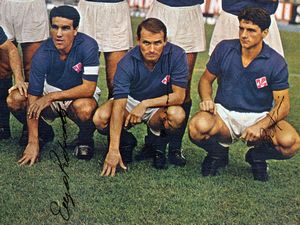 Calcio, Italia, FIORENTINA foto squadra autografata 1964  - Asta Antique Toys & Sports Memorabilia - Associazione Nazionale - Case d'Asta italiane