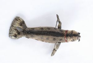 Lehmann, Foca  - Asta Antique Toys & Sports Memorabilia - Associazione Nazionale - Case d'Asta italiane