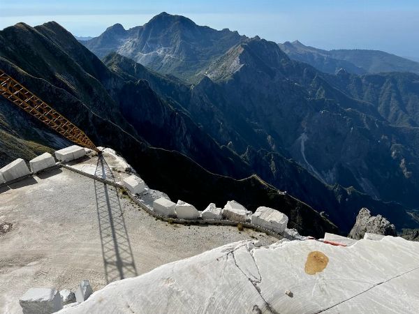 DITTA EZIO RONCHIERI S.p.A.  - Asta ASTA A TEMPO | AIRC - Associazione Nazionale - Case d'Asta italiane