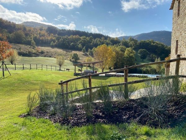 MARIA RICCERI  - Asta ASTA A TEMPO | AIRC - Associazione Nazionale - Case d'Asta italiane